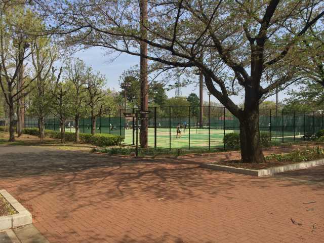 府中の森公園のテニスコート