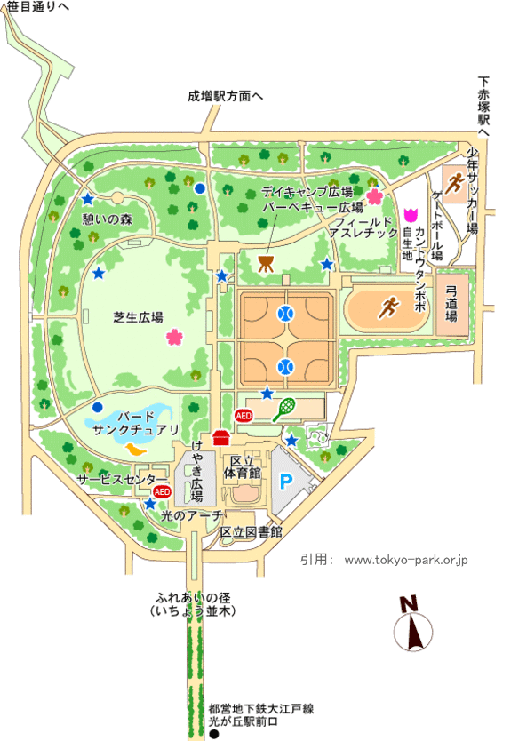 光が丘公園 東京で散歩やウォーキングができる公園