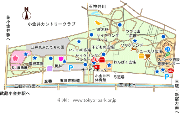小金井公園 東京で散歩やウォーキングができる公園