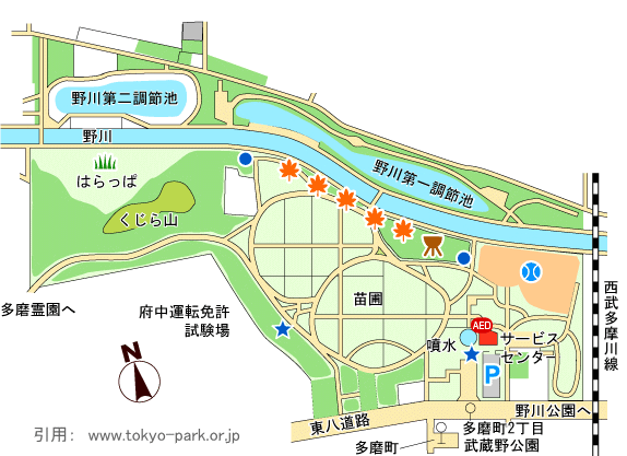 武蔵野公園の園内マップ