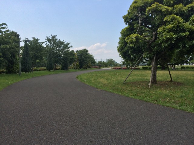 武蔵野の森公園の芝生広場