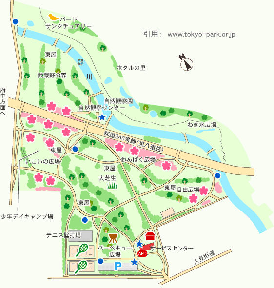 野川公園の園内マップ