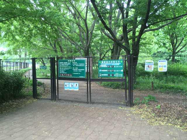 野川公園の自然観察園～入口