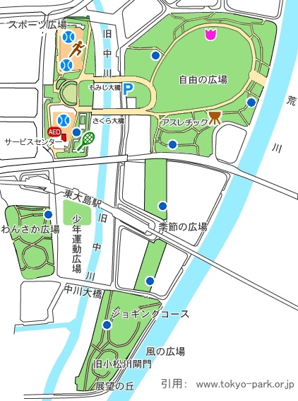 大島小松川公園 東京で散歩やウォーキングができる公園