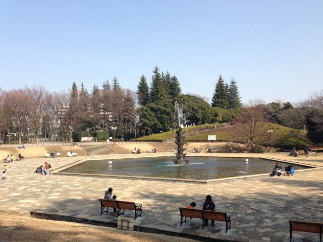 世田谷公園 東京で散歩やウォーキングができる公園