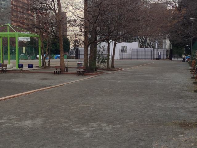 新宿中央公園の多目的運動広場