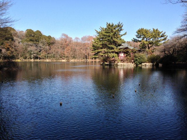 三宝寺池～神社を含む景色