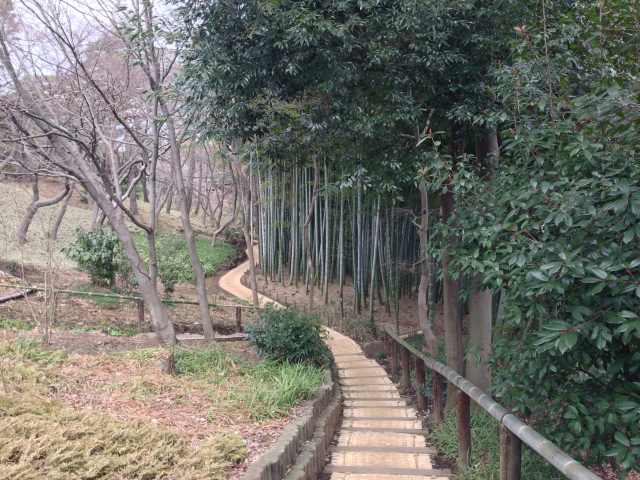 殿ヶ谷戸庭園の竹の小径
