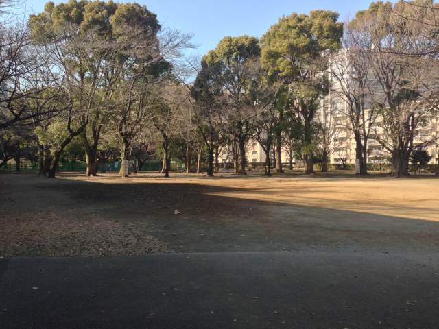 戸山公園のスズカケ広場